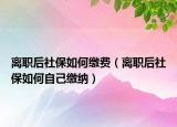 离职后社保如何缴费（离职后社保如何自己缴纳）