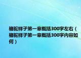 骆驼祥子第一章概括300字左右（骆驼祥子第一章概括300字内容如何）