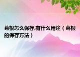 葛根怎么保存,有什么用途（葛根的保存方法）