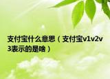支付宝什么意思（支付宝v1v2v3表示的是啥）