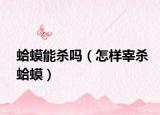 蛤蟆能杀吗（怎样宰杀蛤蟆）