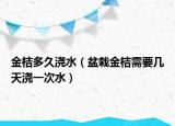 金桔多久浇水（盆栽金桔需要几天浇一次水）