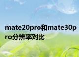 mate20pro和mate30pro分辨率对比