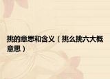 挑的意思和含义（挑么挑六大概意思）