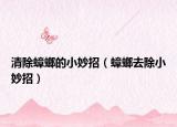 清除蟑螂的小妙招（蟑螂去除小妙招）