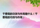 干香菇的功效与作用是什么（干香菇的功效与作用）