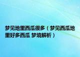 梦见地里西瓜很多（梦见西瓜地里好多西瓜 梦境解析）