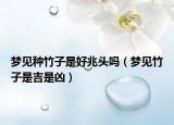 梦见种竹子是好兆头吗（梦见竹子是吉是凶）