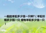 一般的羊驼多少钱一只啊?（羊驼价格多少钱一只 宠物羊驼多少钱一只）