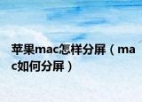 苹果mac怎样分屏（mac如何分屏）