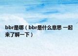 bbr是哪（bbr是什么意思 一起来了解一下）