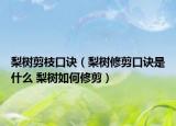 梨树剪枝口诀（梨树修剪口诀是什么 梨树如何修剪）