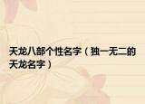 天龙八部个性名字（独一无二的天龙名字）
