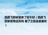 鹦鹉飞到家里来了好不好（鹦鹉飞到家里有征兆吗 看了之后会更喜欢）