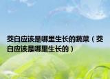 茭白应该是哪里生长的蔬菜（茭白应该是哪里生长的）