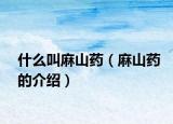 什么叫麻山药（麻山药的介绍）