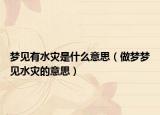 梦见有水灾是什么意思（做梦梦见水灾的意思）