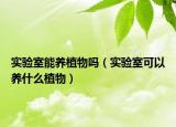 实验室能养植物吗（实验室可以养什么植物）