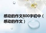 感动的作文800字初中（感动的作文）