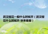 武汉樱花一般什么时候开（武汉樱花什么时候开 快来看看）