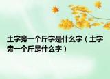 土字旁一个斤字是什么字（土字旁一个斤是什么字）