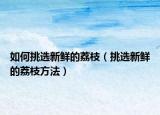 如何挑选新鲜的荔枝（挑选新鲜的荔枝方法）