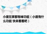 小度在家都有啥功能（小度有什么功能 快来看看吧）