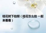 桂花树下拍照（桂花怎么拍 一起来看看）