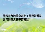 简短洋气的英文名字（简短好看又霸气的英文名字有哪些）
