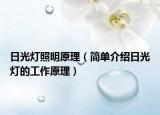 日光灯照明原理（简单介绍日光灯的工作原理）