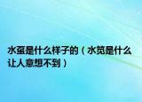 水虿是什么样子的（水笕是什么 让人意想不到）