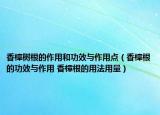 香樟树根的作用和功效与作用点（香樟根的功效与作用 香樟根的用法用量）