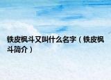 铁皮枫斗又叫什么名字（铁皮枫斗简介）