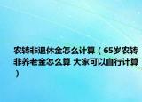 农转非退休金怎么计算（65岁农转非养老金怎么算 大家可以自行计算）