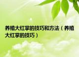 养殖大红掌的技巧和方法（养殖大红掌的技巧）