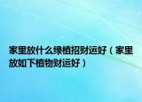 家里放什么绿植招财运好（家里放如下植物财运好）