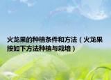 火龙果的种植条件和方法（火龙果按如下方法种植与栽培）
