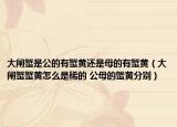 大闸蟹是公的有蟹黄还是母的有蟹黄（大闸蟹蟹黄怎么是稀的 公母的蟹黄分别）