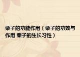 栗子的功能作用（栗子的功效与作用 栗子的生长习性）