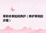 茉莉冬季如何养护（养护茉莉的步骤）
