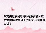 农村失地农民每月补贴多少钱（农村失地65岁每月工资多少 还有什么办法）
