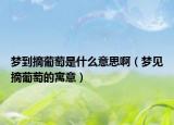 梦到摘葡萄是什么意思啊（梦见摘葡萄的寓意）
