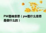 PW是啥意思（pw是什么意思 是做什么的）