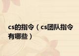 cs的指令（cs团队指令有哪些）