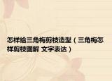 怎样给三角梅剪枝造型（三角梅怎样剪枝图解 文字表达）