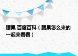腰果 百度百科（腰果怎么来的 一起来看看）