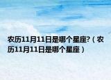 农历11月11日是哪个星座?（农历11月11日是哪个星座）