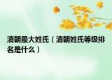 清朝最大姓氏（清朝姓氏等级排名是什么）