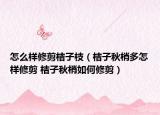 怎么样修剪桔子枝（桔子秋梢多怎样修剪 桔子秋梢如何修剪）