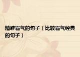 精辟霸气的句子（比较霸气经典的句子）